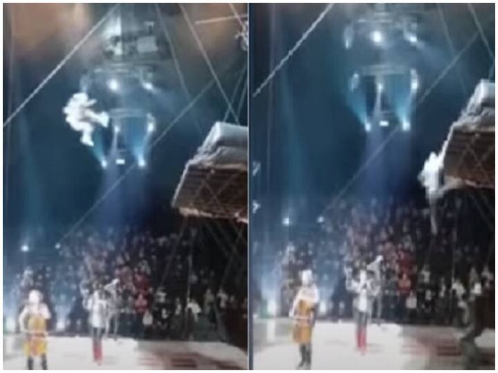man falls performing stunt arial stunt at circus resuling into fractures watch shocking video Watch: सर्कस में हवा में स्टंट करना शख्स को पड़ा भारी, ऐसे गिरा कि टूट गईं हड्डियां