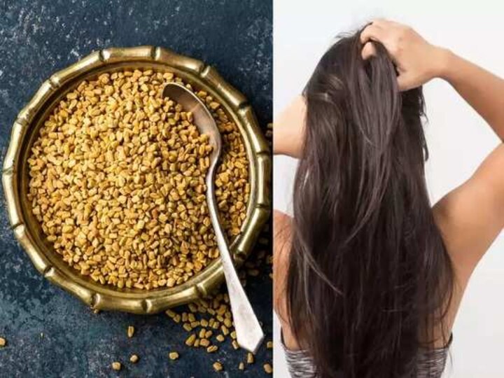 Fenugreek Benefits | தினமும் ஒரு ஸ்பூன் வெந்தயம்.. இதை எதுக்கெல்லாம் பரிந்துரைக்குறாங்க தெரியுமா? அசந்திடுவீங்க..