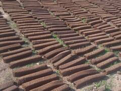 Cow Dung Bricks: गोबर से बनी ईंट से राहत भी, रोजगार भी, महिलाओं को हो रही बंपर कमाई