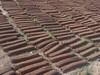 Cow Dung Bricks: गोबर से बनी ईंट से राहत भी, रोजगार भी, महिलाओं को हो रही बंपर कमाई