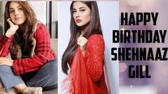Happy Birthday Shehnaaz Gill: ਸਪੋਰਟਿੰਗ ਦੋਸਤਾਂ ਤੋਂ ਲੈ ਕੇ ਫੈਸ਼ਨ ਸਟੇਟਮੈਂਟ ਤੱਕ ਇਨ੍ਹਾਂ ਕਾਰਨਾਂ ਕਰਕੇ ਫੈਨਸ ਦੇ ਦਿਲਾਂ 'ਤੇ ਰਾਜ ਕਰਦੀ ਸ਼ਹਿਨਾਜ਼ ਗਿੱਲ