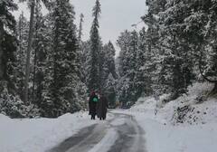 Winter: প্রবল তুষারপাত, ঠান্ডায় কাঁপছে হিমাচল প্রদেশ, কাশ্মীর