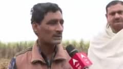 UP Elections 2022: 'Chunavi Chaupal' from Shamli's Thana Bhawan, here are people's issues