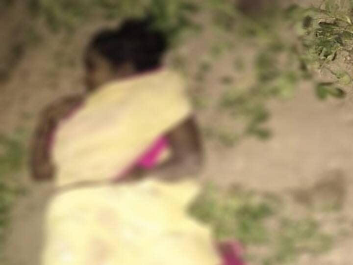 Woman beaten to death in Thiruvannamalai - Police are investigating whether there was any attempt to sexually assault her திருவண்ணாமலையில் மாடு மேய்க்க சென்ற பெண் அடித்து கொலை