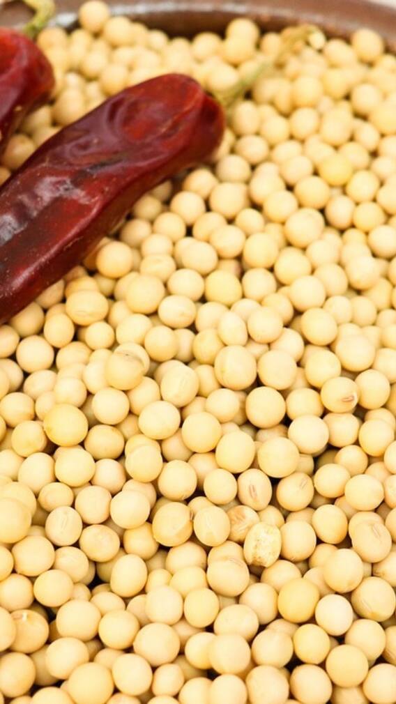 বাড়িতেই বানিয়ে ফেলুন সয়াবিন কাবাব