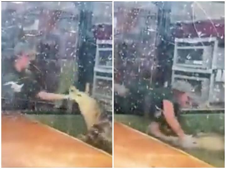 Watch: चिड़ियाघर में जू कीपर ने मगरमच्छ को दिलाया गुस्सा, बड़ी मुश्किल से बची जान Zoo keeper was showing by touching the crocodile in the zoo Watch: चिड़ियाघर में जू कीपर ने मगरमच्छ को दिलाया गुस्सा, बड़ी मुश्किल से बची जान