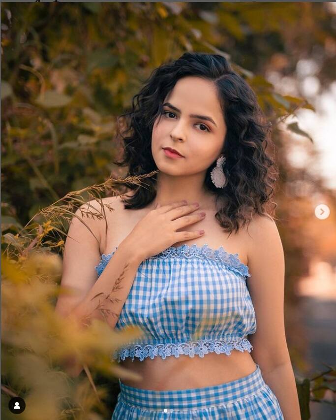 પલક સોશિયલ મીડિયા પર ખૂબ જ એક્ટિવ રહે છે અને તસવીરો શેર કરતી રહી છે.