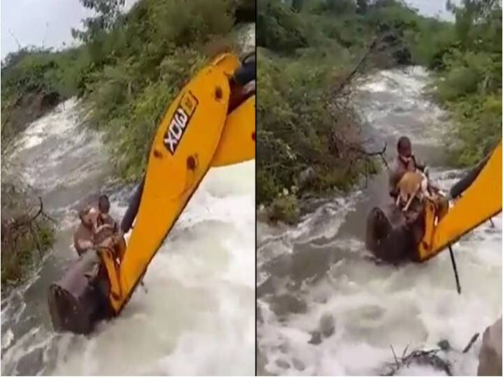 Watch: उफनती लहरों में डूब रहे कुत्ते को बचाने के लिए अपनी जान पर खेल गया होम गार्ड, लोग बोले- इंसानियत अभी जिंदा है Home guard save dog drowning in booming waves, people said humanity still alive Watch: उफनती लहरों में डूब रहे कुत्ते को बचाने के लिए अपनी जान पर खेल गया होम गार्ड, लोग बोले- इंसानियत अभी जिंदा है