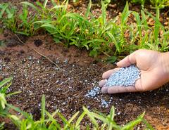 MP News: मध्य प्रदेश के सभी 55 हजार गांव की मिट्टी की हुई मैपिंग, नाइट्रोजन की मिली कमी