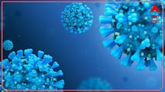 Corona चा नवा NeoCov Variant किती धोकादायक? चिनी शास्त्रज्ञांचा काय आहे दावा?