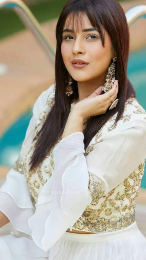 শাড়িতে নয়া লুকে পঞ্জাবের 'ক্যাটরিনা' শেহনাজ