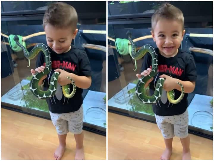Watch: वीडियो बनाने के लिए नन्हे से बच्चे के हाथ में थमा दिया सांप और फिर जो हुआ... Baby given snake to play and to make video watch full video of baby playing with snake Watch: वीडियो बनाने के लिए नन्हे से बच्चे के हाथ में थमा दिया सांप और फिर जो हुआ...