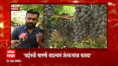 Nashik : वाईनबाबतच्या निर्णय फायद्याचा की तोट्याचा? वाईन उत्पादक आणि शेतकरी म्हणतात... ABP Majha