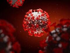 Corona NeoCov: ওমিক্রন-উদ্বেগের মধ্যেই চিন্তা বাড়াচ্ছে 'নিওকোভ'|Bangla News