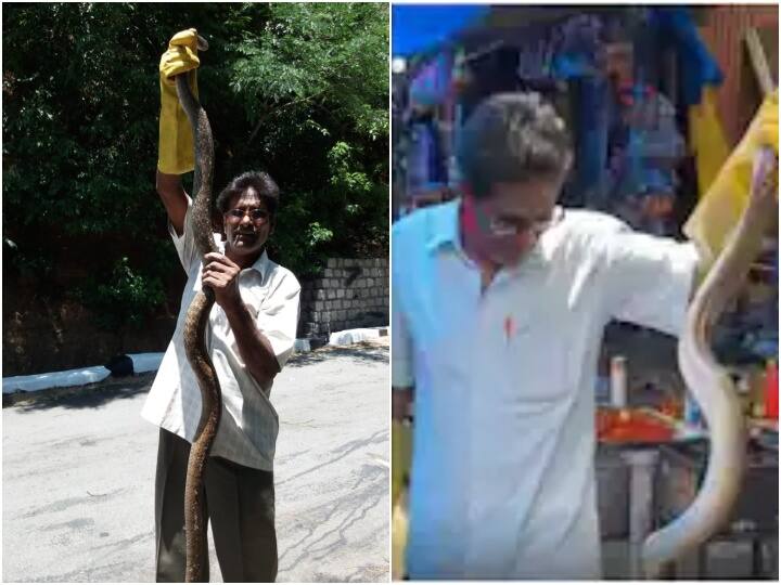 Tirumala Snake bites Catcher Bhaskar naidu admitted in hospital Tirumala: పాము కాటుకు గురైన టీటీడీ స్నేక్ క్యాచర్ భాస్కర్ నాయుడు... పరిస్థితి విషమించడంతో ప్రైవేట్ ఆసుపత్రికి తరలింపు...