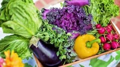 Nutritious Low calorie Vegetables: পুষ্টিকর এবং ওজনও বাড়বে না, ডায়েটে রাখুন এই সব শাক-সবজি