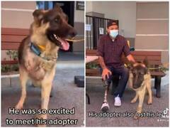 Watch: चोट की वजह से काटना पड़ा डॉगी का पैर, शख्स ने किया अडॉप्ट