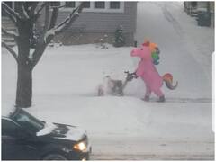 Watch: यूनिकॉर्न की ड्रेस में शख्स ने पूरी सड़क से हटाई बर्फ, पड़ोसियों को पसंद आ रहा अंदाज