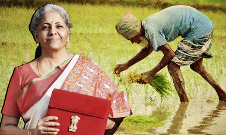 Union Budget 2022: Rs 2.37 Lakh Crore MSP Direct Payments Announced by FM Nirmala Sitharaman Budget 2022: কৃষকদের দাবিতে সিলমোহর, ন্যূনতম সহায়ক মূল্য খাতে  ২.৩৭ কোটি বরাদ্দ কেন্দ্রের