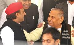 Akhilesh Yadav Entry In Politics: क्या Mulayam Singh Yadav के कहने पर राजनीति में आए थे अखिलेश यादव, जानिए सपा चीफ का जवाब