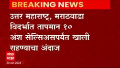 Cold Wave : उत्तर महाराष्ट्र, विदर्भ आणि मराठवाड्यात पुढील २४ तास थंडीची लाट; दिवसाही कुडकुडणार?