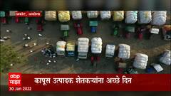 Akola : कापूस उत्पादक शेतकऱ्यांना अच्छे दिन, कापसाला प्रति क्विंटल 11 हजार रुपये भाव