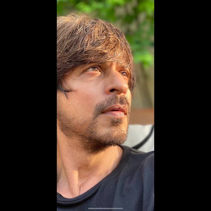 शाहरुख खान पुढील दोन महिने 'पठान' सिनेमाचे शूटिंग करणार आहे. याशिवाय तो राजकुमार हिरानीसोबत एक सिनेमा करत आहे. त्यामुळे शाहरुख लवकरच अनेक चांगल्या सिनेमांच्या माध्यमातून प्रेक्षकांच्या भेटीला येणार आहे.