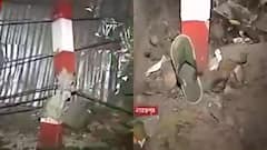 Bike Accident: নরেন্দ্রপুরে বাইক দুর্ঘটনা, বেপরোয়া গতির জেরে গুরুতর জখম সিভিক ভলান্টিয়ার | Bangla News