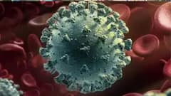 Schools Reopening: इस राज्य ने लिया एक फरवरी से स्कूल खोलने का फैसला, ये होंगे नियम