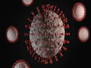 Covid 19 symptoms: एक-दोन नव्हे, कोरोना विषाणूची तब्बल 32 लक्षणे! जाणून घ्या आणि सावध व्हा!
