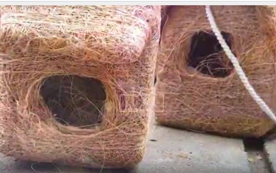 Giving nests to Birds: అనంతపురంలో పక్షులకు గూళ్లు ఏర్పాటు చేస్తున్న అనిల్ కుమార్ | ABP Desam