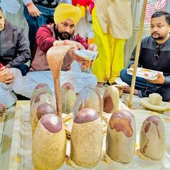 ਭਦੌੜ ਹਲਕੇ ਤੋਂ ਪਰਚਾ ਦਾਖਲ ਕਰ ਸੀਐਮ ਚੰਨੀ ਨੇ ਮੰਦਰ 'ਚ ਟੇਕਿਆ ਮੱਥਾ, ਵੇਖੋ ਤਸਵੀਰਾਂ