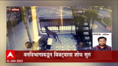 Nashik : बिबट्याच्या वावरामुळे नागरिक भयभीत; वनविभागाकडून बिबट्याचा शोध सुरु ABP Majha