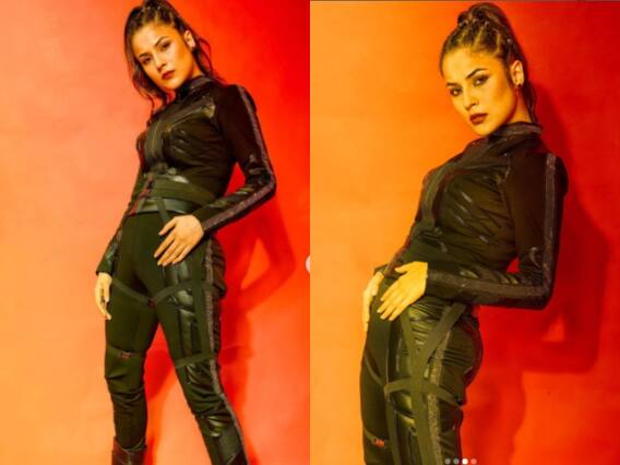 ਵੇਖੋ Shehnaaz Gill ਦਾ ਬੇਬਾਕ ਅੰਦਾਜ਼