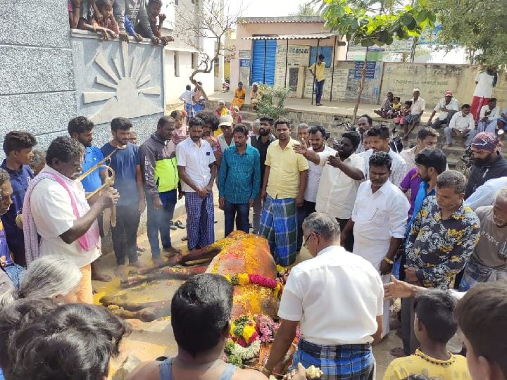 உயிரிழந்த கோயில் காளைக்கு 7 கிராம மக்கள் சேர்ந்து இறுதிச்சடங்கு