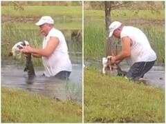 Watch: मगरमच्छ ने डॉगी पर हमला कर उसे तालाब में घसीटा, जान पर खेल कर मालिक ने बचाया