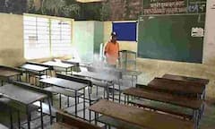 School College Reopen: বাংলায় ফের খুলছে স্কুল কলেজ, ঘোষণাকে স্বাগত জানালেন শিক্ষাবিদ থেকে চিকিৎসরা। Bangla News