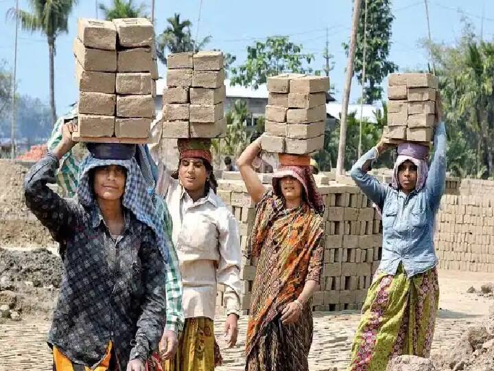 e-Shram Card Benefits if unorganised worker moved to an organised sector then he will get benefit of e-Shram Card or not know its details e-Shram Card का लाभ किन श्रमिकों को मिलेगा? ये है कार्ड से जुड़े नियम