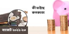 Union Budget 2022: ঊর্ধ্বগামী জ্বালানি-মূল্য, লাগামছাড়া চাল-ডালের দাম, কী আশায় কলকাতার মানুষ