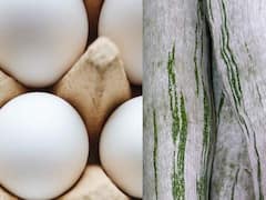 Egg and Snake Gourd: పొట్లకాయ, గుడ్డు కలిపి వండితే విషపూరితం అవుతుందా? ఇందులో నిజమెంత?