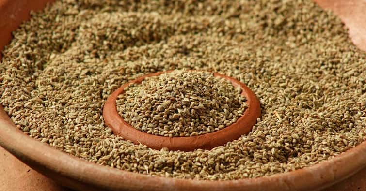 to know benefits of consuming celery and best uses of ajwain Health Tips:  શિયાળાની ઋતુમાં અજમાના સેવનથી   સ્વાસ્થ્યને થાય છે આ અદભૂત ફાયદા, આ રીતે કરો સેવન