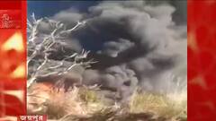 Rajasthan: রাজস্থানে তেলের কারখানায় ভয়াবহ অগ্নিকাণ্ড, ঝলসে মৃত ৩ শিশু সহ ৪ | Bangla News