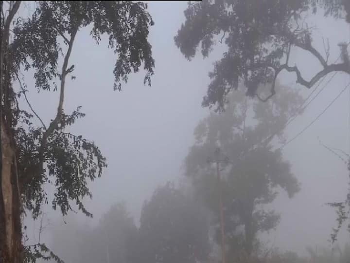হালকা বৃষ্টি চলছে কয়েক দিন ধরে। মেঘ এসে ঘিরে ধরছে পাহাড়কে। ঠান্ডায় জুবুথুবু পাহাড়ে আজ তাপমাত্রা বাড়ল ১ ডিগ্রি। তবুও যেন আলসেমি জুড়ে আছে শৈলশহরকে।