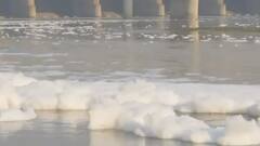 Delhi: Yamuna में बह रहा जहरीला पानी, सफाई का वादा कब पूरा करेंगे Kejriwal