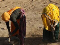 Rajasthan: सरकार शुरू करने जा रही है ये खास स्कीम, नरेगा में श्रमिकों की फर्जी हाजिरी पर लगेगी लगाम 