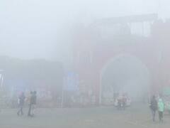 Punjab Weekly Weather Report: पंजाब में अभी जारी रहेगा शीत लहर और कोहरे का सितम, जानें- इस हफ्ते मौसम में क्या-क्या होगा बदलाव