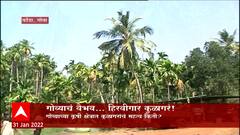 Goa Special Report : गोव्याचं वैभव... हिरवीगार कुळागरं ; गोष्ट गोव्यातल्या वैभवशाली कुळागरांची