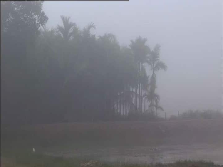 আলিপুর আবহাওয়া দফতর জানিয়েছে, কাল থেকে ফের বাড়বে তাপমাত্রা। পশ্চিমী ঝঞ্ঝা ও পুবালি হাওয়ার সংঘাতে বৃহস্পতিবার থেকে রাজ্যে বৃষ্টি শুরু হবে।