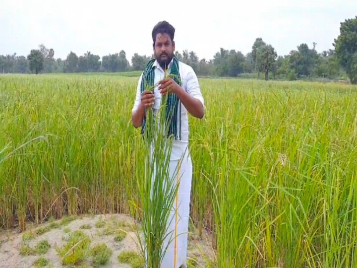 நாகையில் குண்டும் குழியுமான சாலையை ஒன்றுபட்டு  சீரமைத்த கிராம மக்கள்