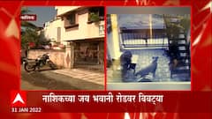 Nashik : नाशिकमधील बिबट्याला पकडण्यासाठी वनविभागाचे प्रयत्न सुरु; नागरिक भयभीत ABP Majha